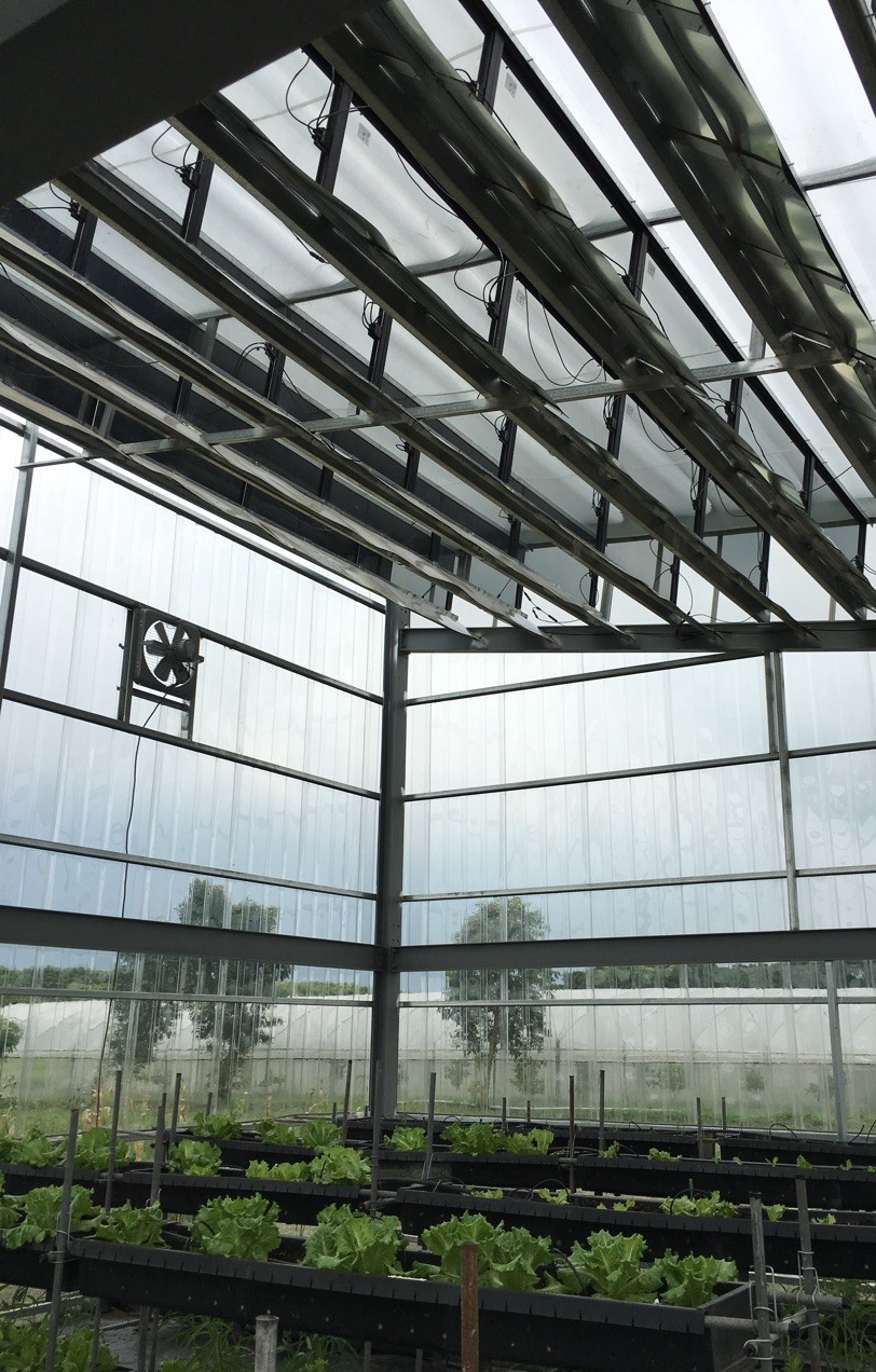 self-dusting solar panels|Self-cleaning panels